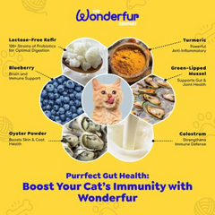 Wonderfur Freeze-Dried Yogurt Bites Immune Booster Cat Treats