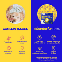Wonderfur Freeze-Dried Yogurt Bites Immune Booster Dog Treats 50g