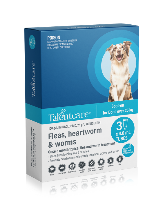 Talentcare Spot-on Flea and Worm Treatment for Dogs over 25kg 3pack