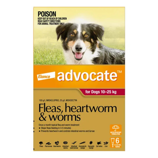 Advocate Spot-on Flea and Worm Treatment for Large Dog 10-25kg