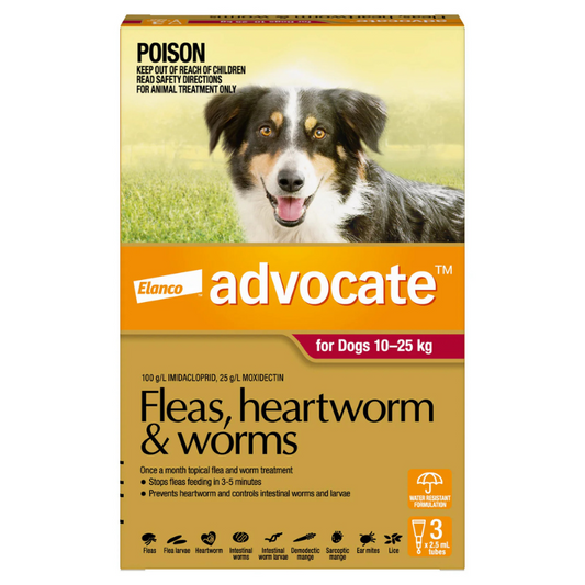 Advocate Spot-on Flea and Worm Treatment for Large Dog 10-25kg