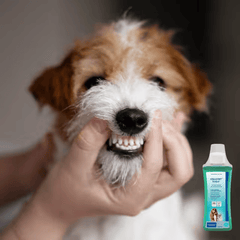 Aquadent Fresh Dental Water Additive for Dogs & Cats 250ml
