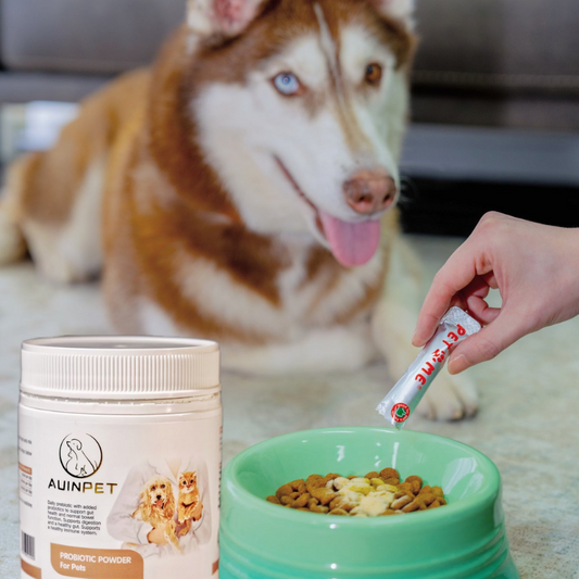 AUINPET Boulardii Probiotic Powder For Pets 60g