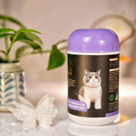 AUINPET SKIN + COAT For Cats Seaweed+Lecithin Chews 120g