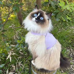 Cat Harness Australia Catventure - Escape Proof Cat Harness - Lilac
