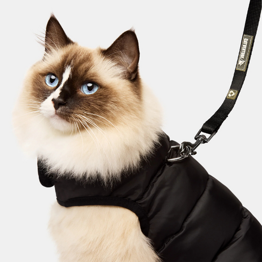 Cat Harness Australia Catventure Cat Puffer Jacket Black