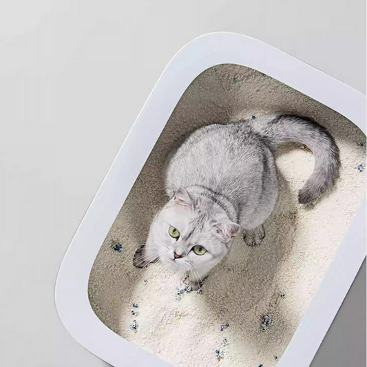 XuCuihua Health-Monitoring Plant Natural Cat Litter 2.5kg
