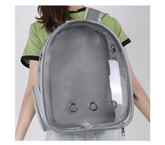 Cat Backpack