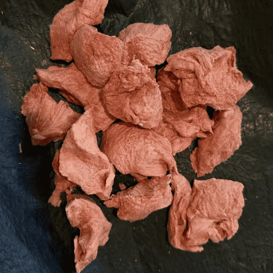 DOBIDO Freeze Dried Camel Dog Cat Treats 50g
