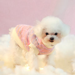 Pikapet Dog Cute Lace Sweater Clothes