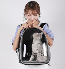 Cat Backpack