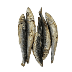 Freecat Freeze Dried Sardine Cat Treats 50g
