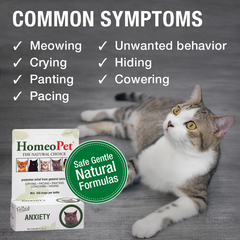 HomeoPet 猫科动物焦虑缓解剂