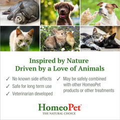 HomeoPet Feline Anxiety