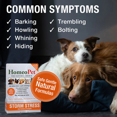 HomeoPet Storm Stress