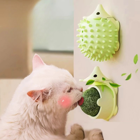 Hoopet Catnip Ball Lick Toy for Cats