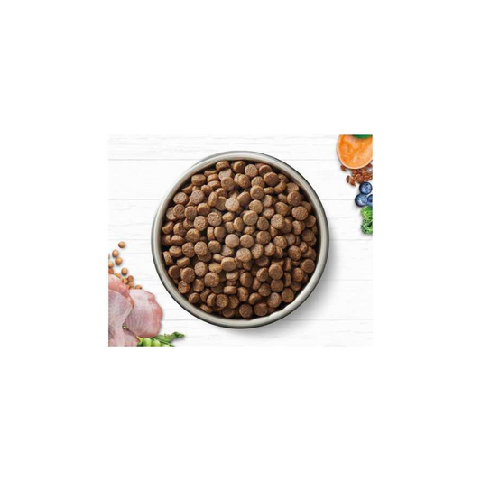 Ivory Coat Grain Free Adult Cat Food Chicken
