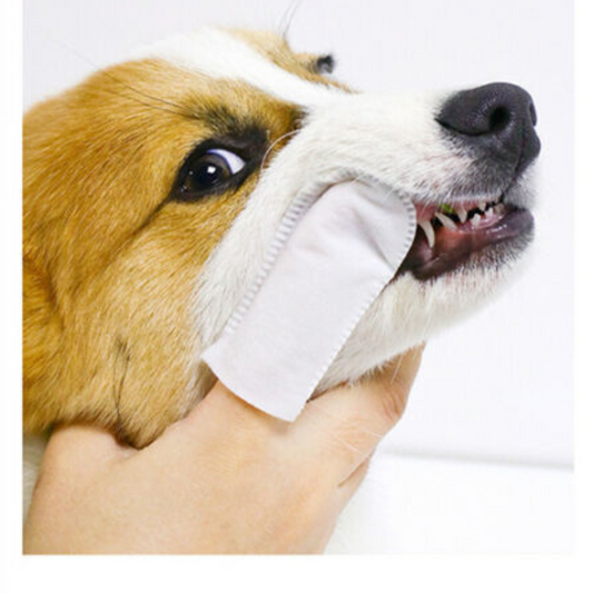 KOJIMA Pet Tooth Clean Dental Finger Wipes 36pcs