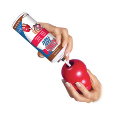 KONG Classic Red Dog Toy