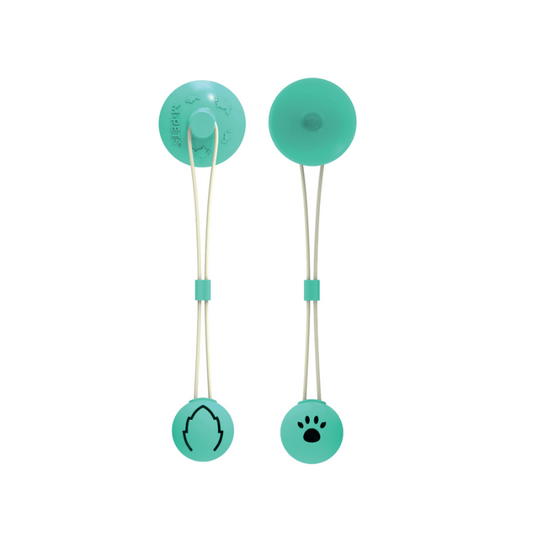 M-PETS Tampo Leaf with Treat Dispenser Cat Toy