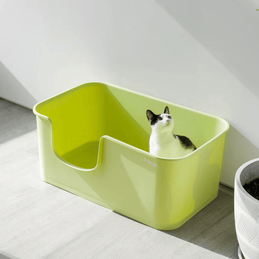 Mango Open Oversized Splash-Proof Giant Cat Litter Box