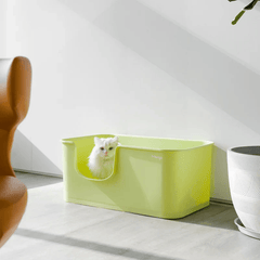 Mango Open Oversized Splash-Proof Giant Cat Litter Box