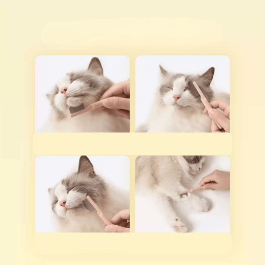 Mango Pet Facial Grooming Comb Set