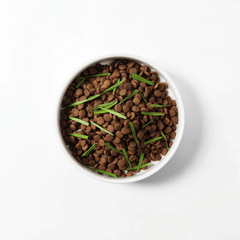 Michu All-in-One Soil-Free Cat Grass Grow Kit