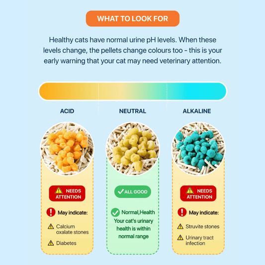 Michu Cat Health Monitoring Pellets - Colour Changing Indicators For Home Urine Testing