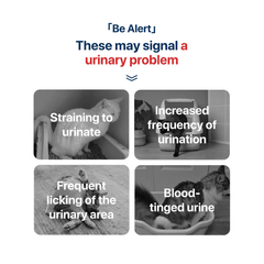 Michu Cat Health Monitoring Pellets - Colour Changing Indicators For Home Urine Testing