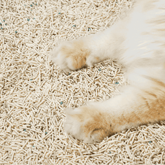 Michu Mixed Tofu Cat Litter Lite 2.5kg/6L