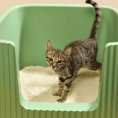 Michu Natural Crushed Tofu Cat Litter for Kittens and Small Animals 2.5kg/6L