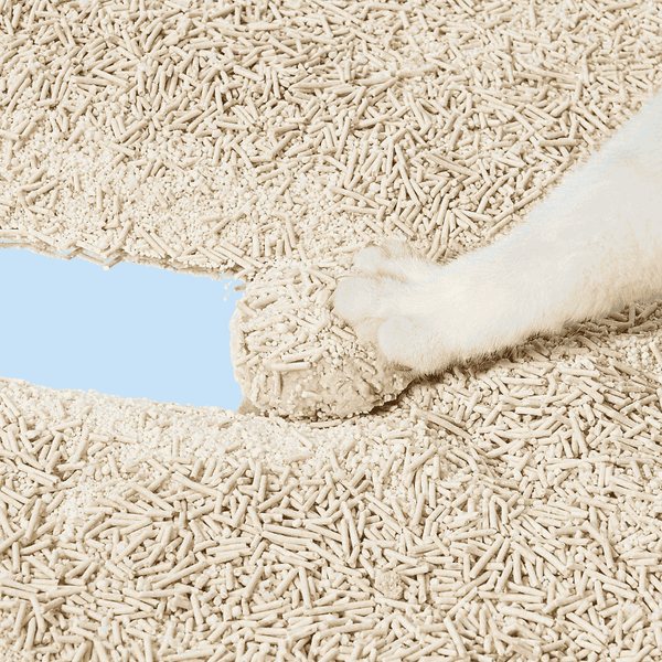 Natural Cat Litter