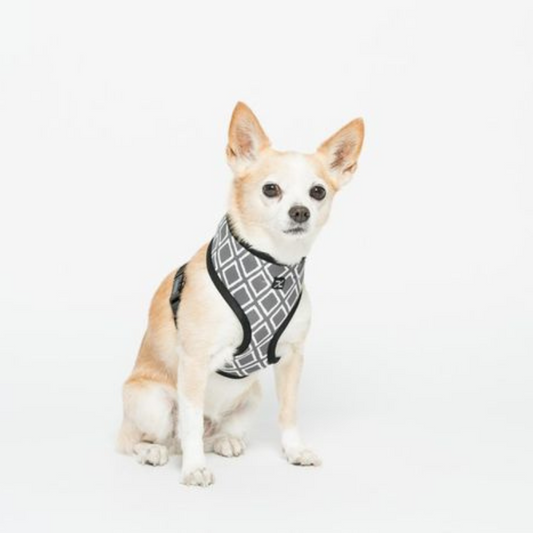 MOG AND BONE Neoprene Harness Grey Ikat