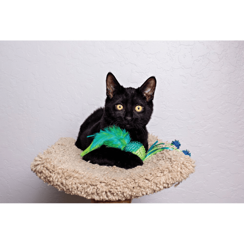 Multipet Mesh Ball Cat Toy Assorted Colors – Pikapet
