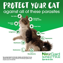 NexGard Spectra 0.8 - 2.4kg 猫用除蚤除蜱虫和蠕虫滴剂