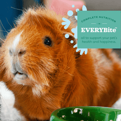 Oxbow Garden Select Adult Guinea Pig Food 1.81kg