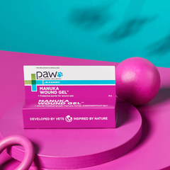 PAW BLACKMORES Manuka Wound Gel