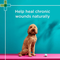 Paw Manuka Wound Gel 25g