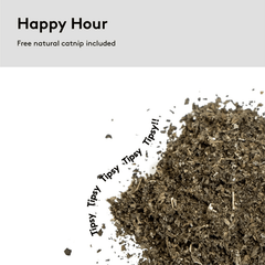 PAWZCITY Cat Scratcher Board - Crazy Gamer