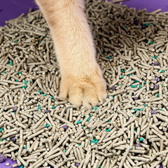PETKIT 5-in-1 Biodegradable & Flushable Active Carbon Mixed Tofu Cat Litter 3.6kg/7L
