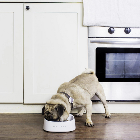 PETKIT FRESH Pet Smart Bowl – Mondrian