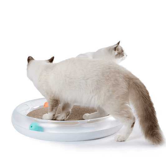 PETKIT FUN CAT 4 in 1 Scratcher Playground