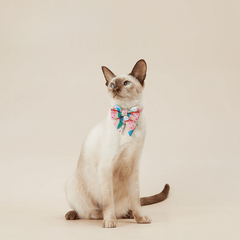 PETKIT Pet Bow Tie Collar – Candy