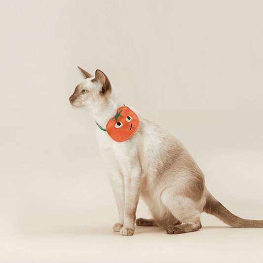 PETKIT Pet Saliva Towel Collar – Red Persimmon