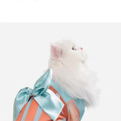 Pidan x Honor of Kings Pet Clothes YAO
