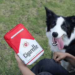 Pikapet Cigarette Box Squeaky Dog Toy