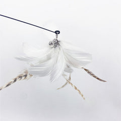 Pikapet Feather Teaser Cat Toy