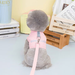 Pikapet Good Luck Pet Walking Leash and Harness