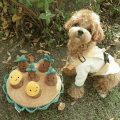 Pikapet Treat-Hiding Snuffle Sweet Potato Squeezing Dog Toy